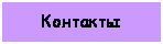 Подпись: Контакты  