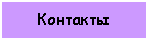 Подпись: Контакты  